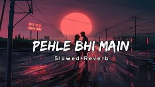 Pehle Bhi Main Tumse Mila Hun [ Slowed + Reverb ] | Animal | Vishal | Lofiaudio Lyrics