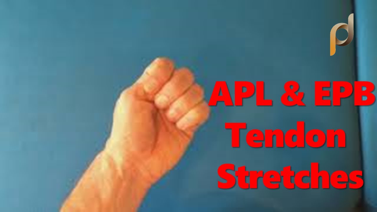 APL & EPB Thumb Tendons Stretch - YouTube