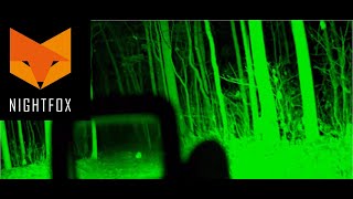 NightFox Prowl Night Vision Performance Test