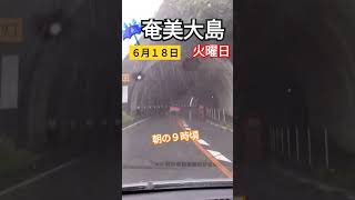 奄美大島　朝の雨の様子☔奄美市にて　2024年6月18日