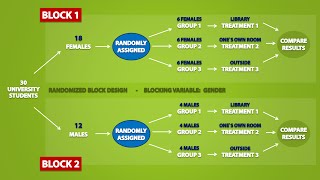 Types of Experimental Designs (3.3)