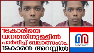 16കാരിയെ വനത്തിനുള്ളില്‍വച്ച് ബലാത്സംഗം ചെയ്ത 19കാരന്‍ അറസ്റ്റില്‍ | thodupuzha