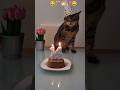 my angry cat birthday 😂#youtubeshorts #shortsfeed #short