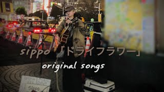 “ sippo ” 「 ドライフラワー 」 新宿駅西口 合同路上ライブ 【 有名な アノ曲 ではなく オリジナル の … 栃木県出身 女性シンガーソングライター ex. Aoi 】