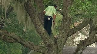 Sergio Garcia climbs a tree to hit one-handed shot at Bay Hill