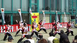 よさこい連桜華 ワールドあぽろん祭り 2013 サチワラエ 踊るコミュニケーション会場