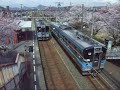 jr四国　予讃線　粟井駅　しおかぜ・アンパンマン列車.wmv