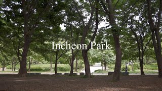 [백색소음] 나른한오후🛼 인천대공원⛲️의 바람소리,나무소리,새소리 ASMR ㅣ Incheon Park White Noise