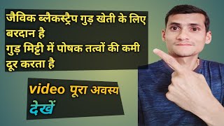 मिट्टी में जैविक ब्लैकस्ट्रैप गुड़ के गजब के फायदे। उत्पादन होगा डबल।