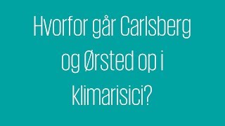 Hvorfor går Carlsberg og Ørsted op i klimarisici?