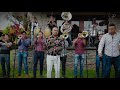 arriba el roble el son del chimura. banda deslumbrante de zirahuén en vivo