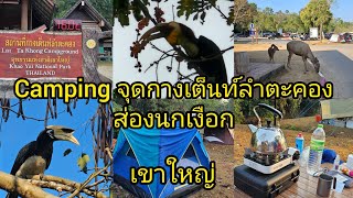 Camping จุดกางเต็นท์ลำตะคอง ส่องนกเงือก เขาใหญ่