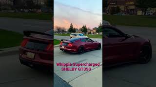 Whipple Supercharged Shelby GT350 Leaving The Car Show #michigan #shelbygt350 #shelby