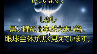 【鍵】バシャール　【バシャールの容姿】