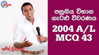 G.C.E. A/L Physics 2004 (Question 43) - භෞතික විද්‍යාව පසුගිය විභාග ගැටළු විවරණය