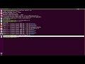 Bash Scripting - Hello World!