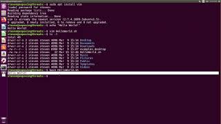 Bash Scripting - Hello World!
