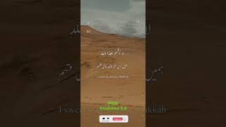 Surah Al Balad | Surat Al-Balad | Quran Recitation | #muslim #shorts #quranrecitation #todaytranding