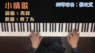 魚丁糸 蘇打綠《小情歌》鋼琴演奏版 Piano Cover 蔡政武（小武音樂工作室）