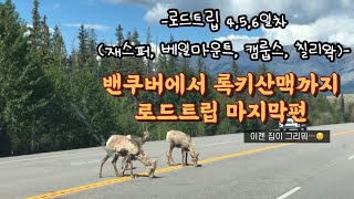 밴쿠버에서 떠난 록키산맥 로드트립! 마지막 여정🚙ㅣ#탱이로그