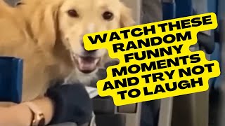 Unbelievable Memes and Funny Videos Compilation That Will Leave You Cracking Up #trynottolaugh