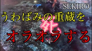 【SEKIRO】友達の動画で勝手にうわばみの重蔵オラオラして野上玄斎に喧嘩を売る