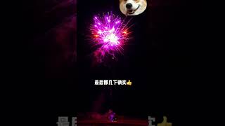 【烟花】【fireworks】绚烂的烟花 | gorgeous fireworks