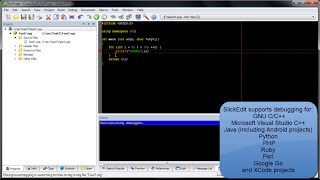 SlickEdit - How to Debug a Project