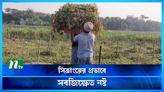 শরীয়তপুরে সিত্রাংয়ের প্রভাবে কয়েকশ হেক্টর সবজিক্ষেত নষ্ট | Shariatpur | NTV News