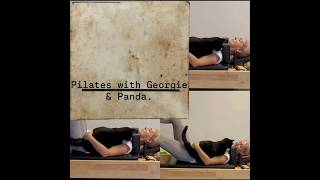 #reformerpilates #catlife #pilateslife #pilatesmotivation #pilatesportal #pilatesology