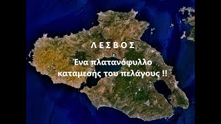 Λέσβος - Ένα πλατανόφυλλο καταμεσής του πελάγους !!