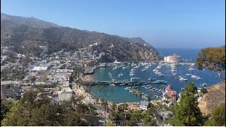 【Yaoyao’s Vlog】洛杉矶的后花园 Catalina Island, 是疫情下一个放风的周末呀～