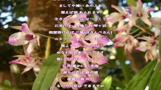 石見のおんな／永井裕子／歌詞付き Relaxing Music