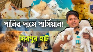 অবিশ্বাস্য দাম! মিরপুর এক হাটে পানির দামে পার্সিয়ান বিড়াল | @SClubVlogs | Persian cat price 2025