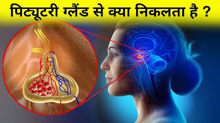 पिट्यूटरी ग्लैंड से क्या निकलता है - what secrets from pituitary gland