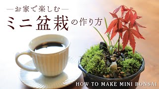 ミニ盆栽の作り方 初心者の簡単寄せ植え作り おうち時間をたのしもう お家のくつろぎの時間に 寄せ植え MINI BONSAI もみじ モミジ 紅葉 GARDENING 盆栽 小品 ガーデニング