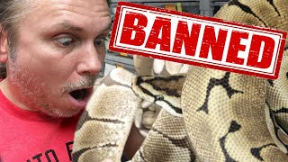 VERY UPSET!! THEY OUTLAWED THIS SNAKE!!! | BRIAN BARCZYK