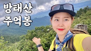 [Hiking] 강원 인제 방태산 등산 | 나홀로 국내 최대 원시림의 시원한 청정계곡 하이킹 | 어여쁜 야생화 천국 몽실몽실 구름맛집 | 산림청 100대명산