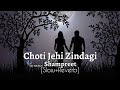 Choti Jehi Zindagi Shampreet [Slow+Reverb] use Headphones 🎧 @AstonishmentGraphicVlog1