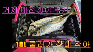 거제도 대전갱이 선상낚시 - 전갱이가 4짜 5짜? 진짜야?