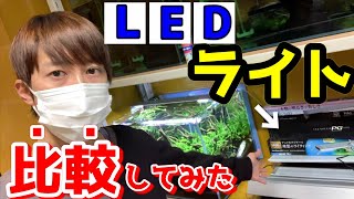 LEDライト比較～水草水槽、レイアウト水槽のライト選びにコトブキ・GEX・テトラ・アクロ～【アクアリウム】