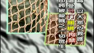 海濤法師主講 放生與護生02