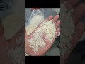 zee traders wholesale dealer in basmati rice