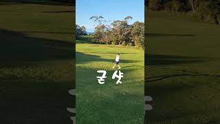 #golf #뉴질랜드 #골린이