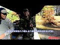 【报哥侃枪】德国一战炮兵鲁格绝版手枪