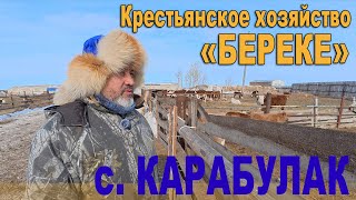 Крестьянское хозяйство Береке с. Карабулак