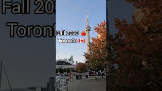 Fall Autumn views 🍁 | Things to do in Toronto | CN Tower