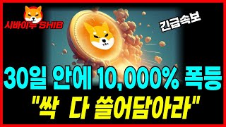 [시바이누 코인] 무역전쟁 관세 리스크 완벽해소! 30일 안에 10,000% 상승할수 있는 코인! 싹 다 쓸어담아라!