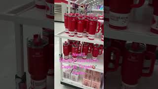 New Valentines💘Stanley Cups at Target🎯 TODAY! #Stanleycup #FabJourney #Target #Valentines #Wicked