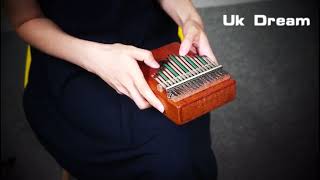 17 Keys Kalimba Mbira Sanza Likembe Thumb Piano Rosewood Instrument Traditional African Music